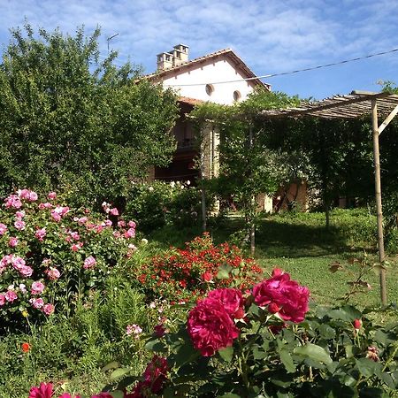 Casa Isabella Pension Vaglio Serra Buitenkant foto
