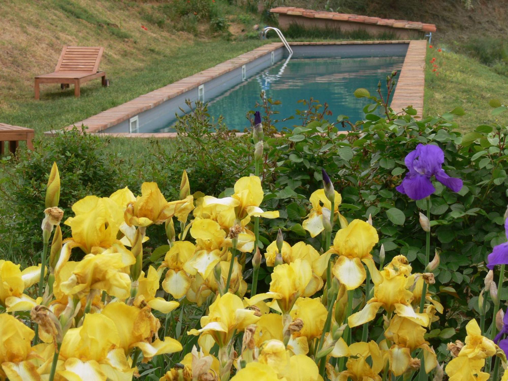 Casa Isabella Pension Vaglio Serra Buitenkant foto