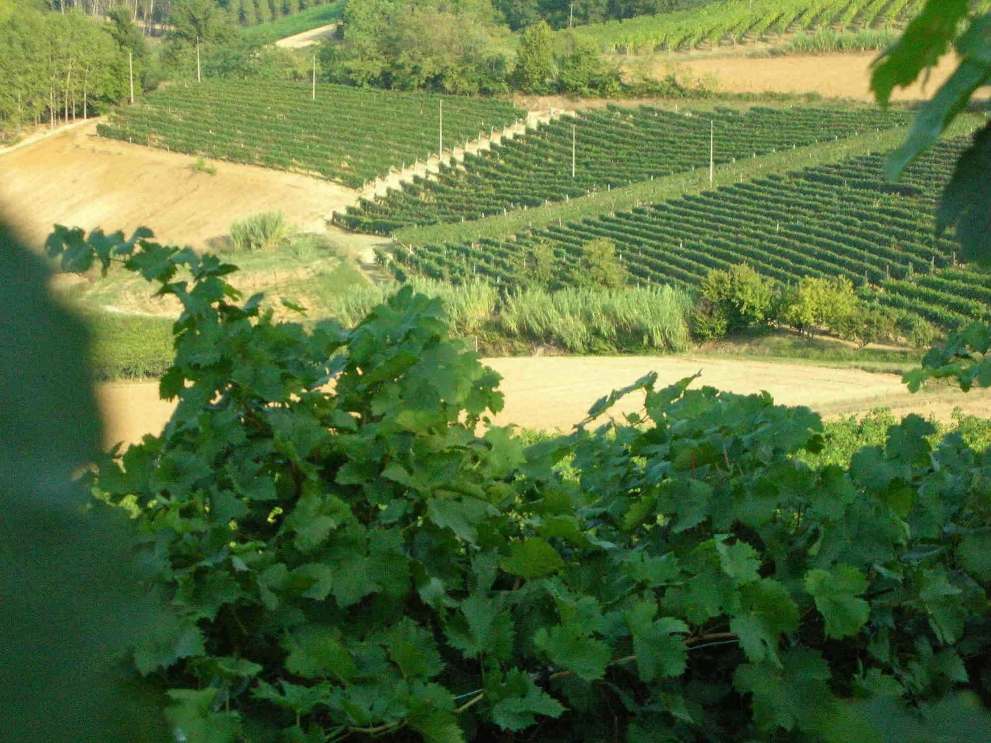 Casa Isabella Pension Vaglio Serra Buitenkant foto