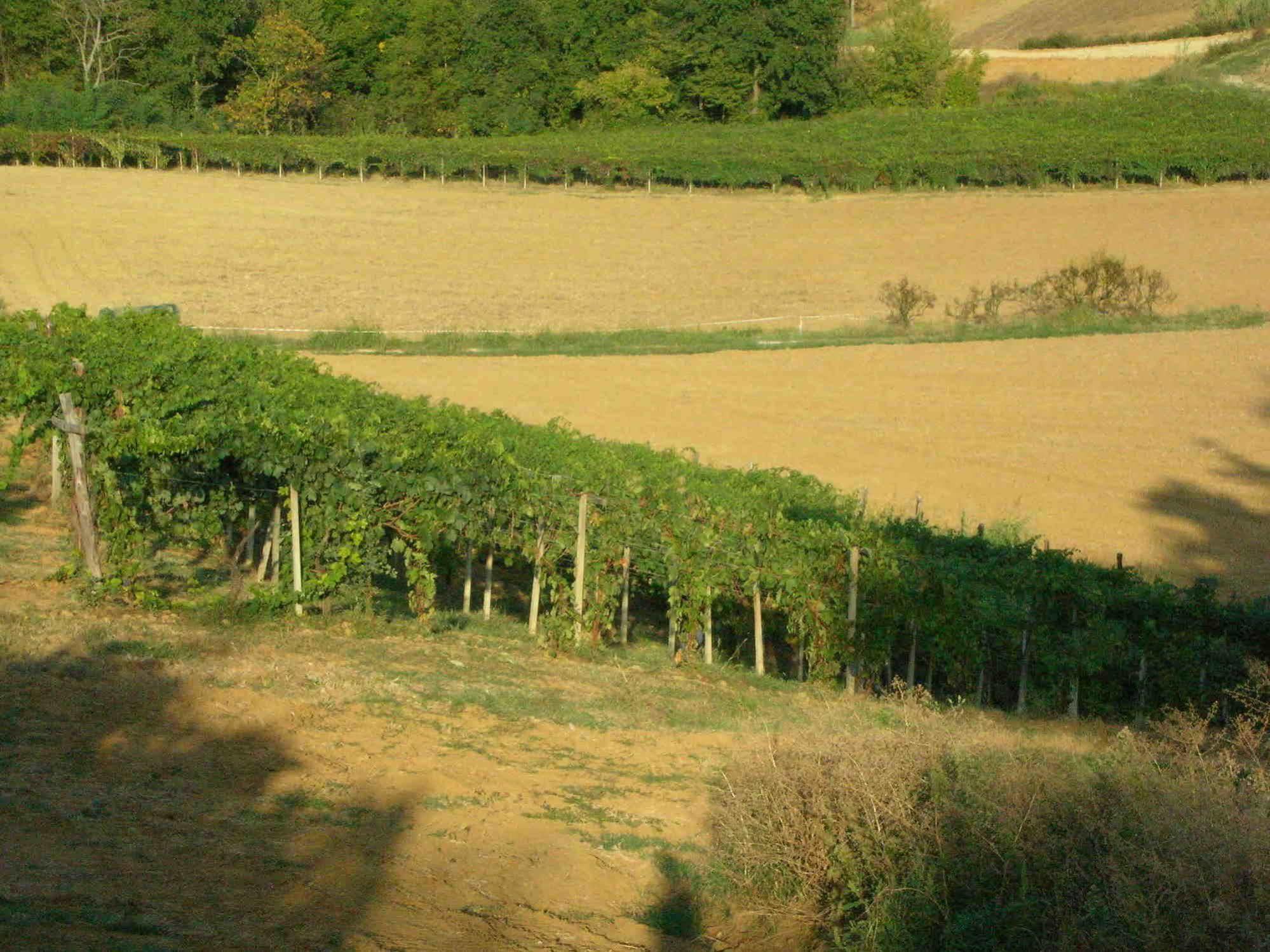 Casa Isabella Pension Vaglio Serra Buitenkant foto